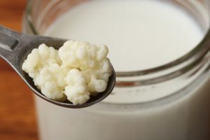 Kefir de leite de coco